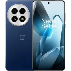 OnePlus 13
